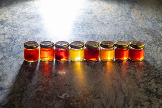Why Does Honey Taste and Look Different? A Guide to Honey Varieties