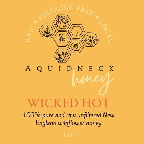 Ghost Pepper Infused Wicked Hot Honey  **Warning Crazy Hot**